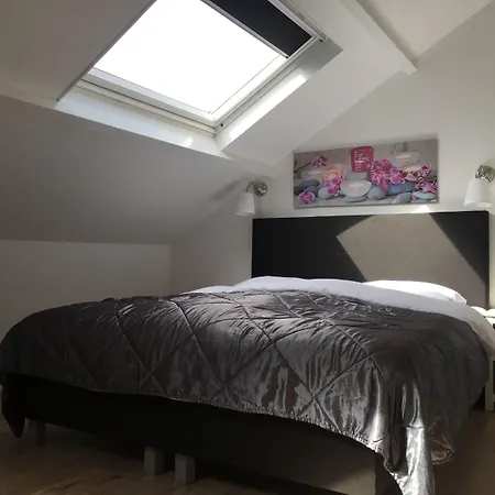 House * זנדוורט