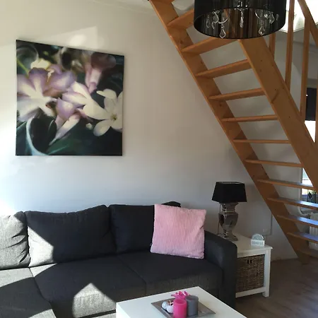 House זנדוורט